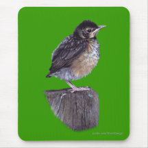 Baby Robin Mouse Pad