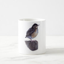 Baby Robin Mug