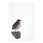 baby robin stationery design