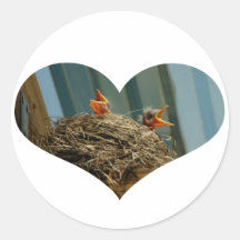 Baby Robins Heart Sticker