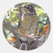 Baby Robins in the nest Sticker 2