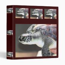 Baby Sea Turtle Binder
