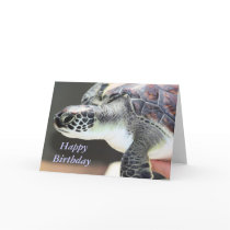 Baby Sea Turtle Birthday Card