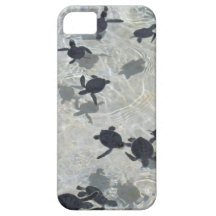 Baby  Sea Turtles iPhone 5 Case