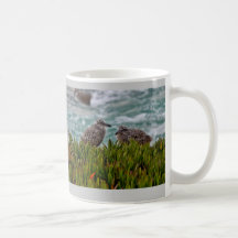 Baby Seagull Mug