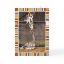 Baby Shower Invitation Greeting Card