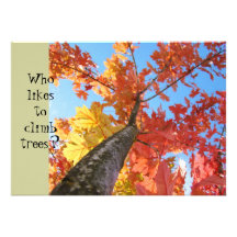 Baby Shower Invitations Baby Boy Climb Fall Trees