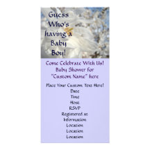 Baby Shower Invitations Guess who's Having a Boy! Customized Photo Card