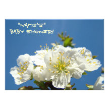 Baby Shower Invitations White Tree Blossoms