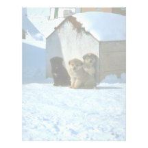 Baby sled dogs, Greenland Custom Letterhead