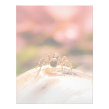 Baby Spider's First Day Customized Letterhead