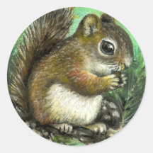 Baby squirrel and cones round stickers