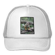 Baby Squirrel Monkey  Baseball Hat