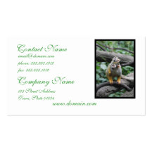 Baby Squirrel Monkey  Business Cards