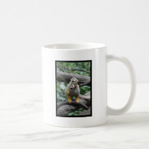 Baby Squirrel Monkey  Coffee Mug