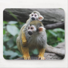 Baby Squirrel Monkey  Mouse Pad