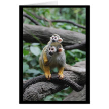 Baby Squirrel Monkey  Note Card