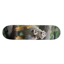 Baby Squirrel Monkey  Skateboard