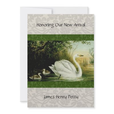 Baby Swans Baby Shower invitation by RiverJude