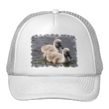 Baby Swans Baseball Hat
