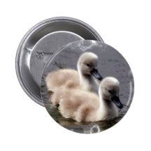 Baby Swans Round Button