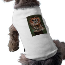 Baby Tawny Owl Pet Clothes