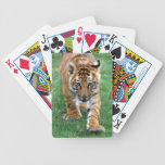 Baby tiger looking at you deck of cards