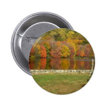 Baby Tree Pinback Buttons