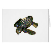 Baby Turtle Card