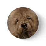 Baby Udon Button