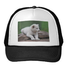 Baby white lion cub 2 hats