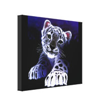 Baby White Tiger Canvas Prints