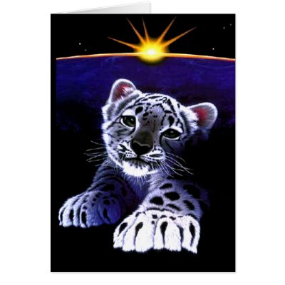 Baby White Tiger Cards by fstasu58