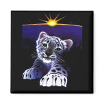 Baby White Tiger Magnets