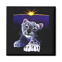 Baby White Tiger Magnets