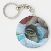 Baby Wood Duck Key Chains