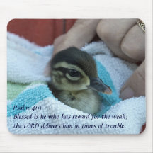 Baby Wood Duck Mouse Pad