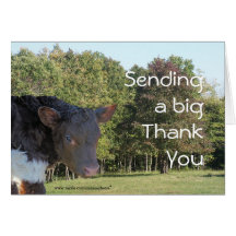 BabyCalf ThankYou-customize any occasion Greeting Card