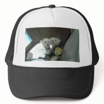 babyies backup 3 hats