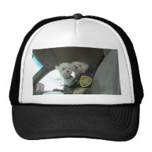 babyies backup 3 hats