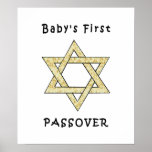 Baby's First Passover Posters