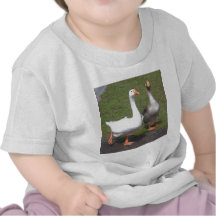 Baby's tee