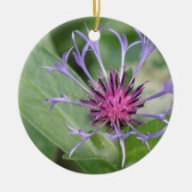 Bachelor Button Flower Ornament