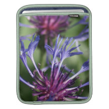 Bachelor Button Flowers iPad Sleeve