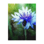 Bachelor Button Postcard