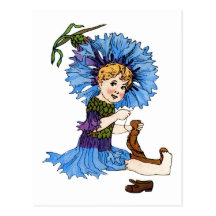 Bachelor Button Postcard