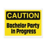 Bachelor Party In Progress