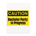 Bachelor Party In Progress