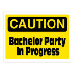 Bachelor Party In Progress Postcard