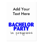 Bachelor Party In Progress Postcard